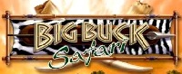 Big Buck Hunter Pro